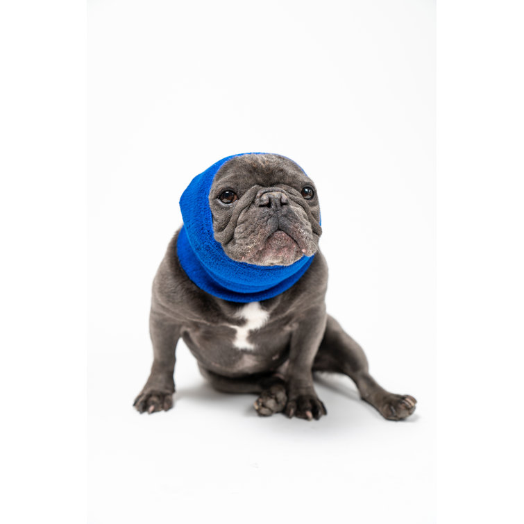 Calming bandana 2025 for dogs